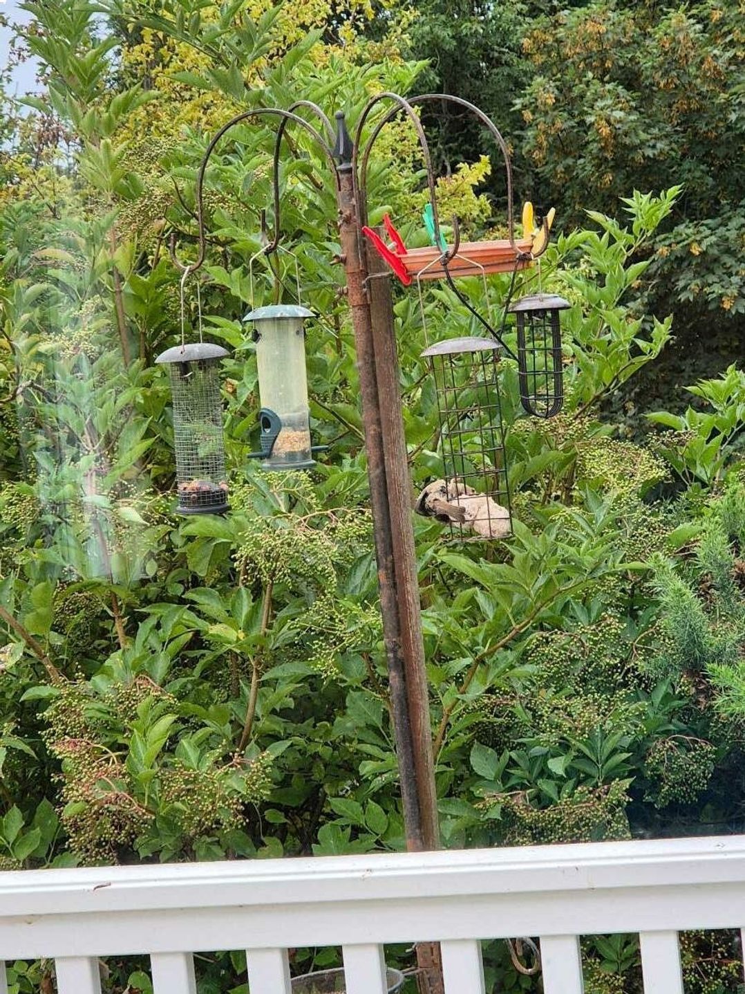 Looe Bay Holiday Park - Holiday Accommodation 22339