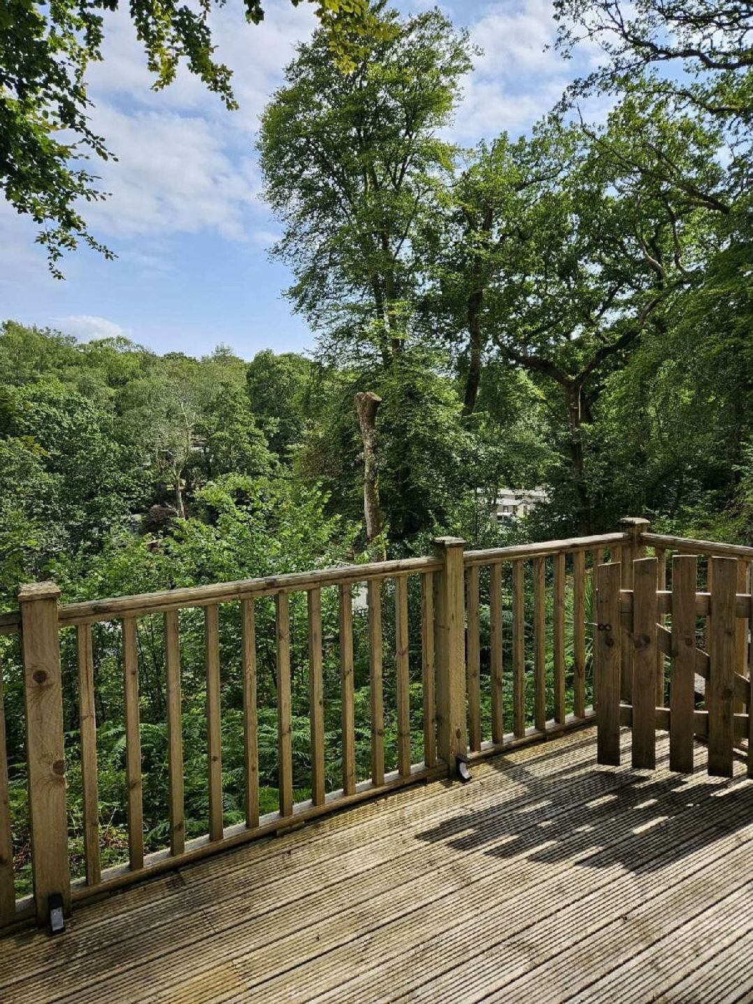 Aberdunant Hall Holiday Park - Holiday Accommodation 22358