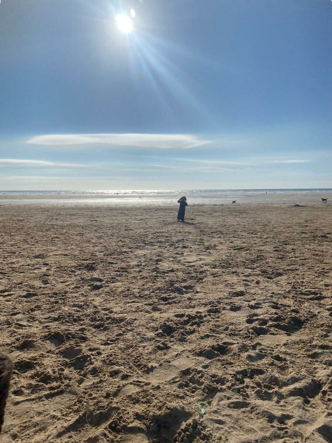 Liskey Hill Caravan Park - Holiday Accommodation 2663