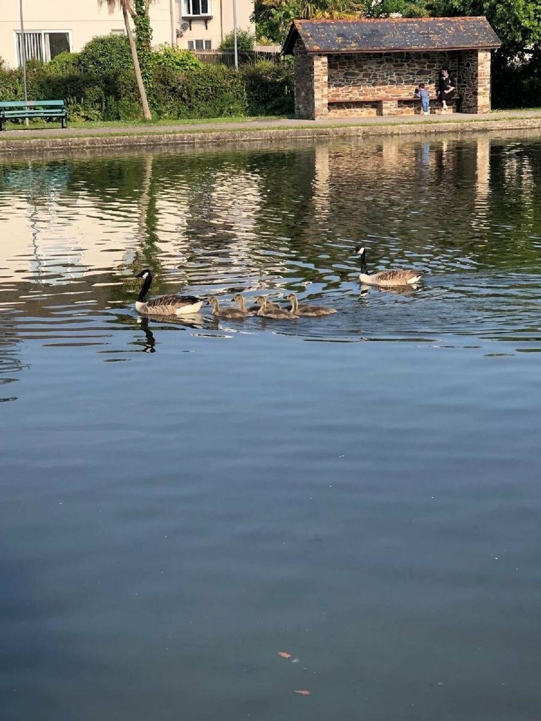 Liskey Hill Caravan Park - Holiday Accommodation 3043