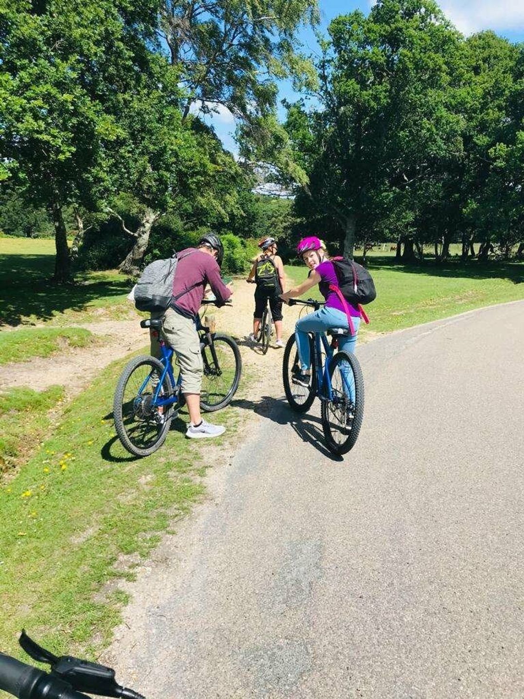 Shorefield Country Park - Holiday Accommodation 4132