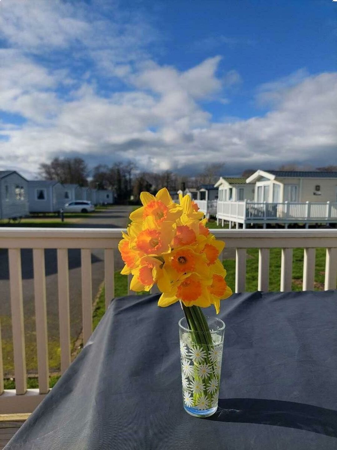 Kiln Park Holiday Park - Holiday Accommodation 4808