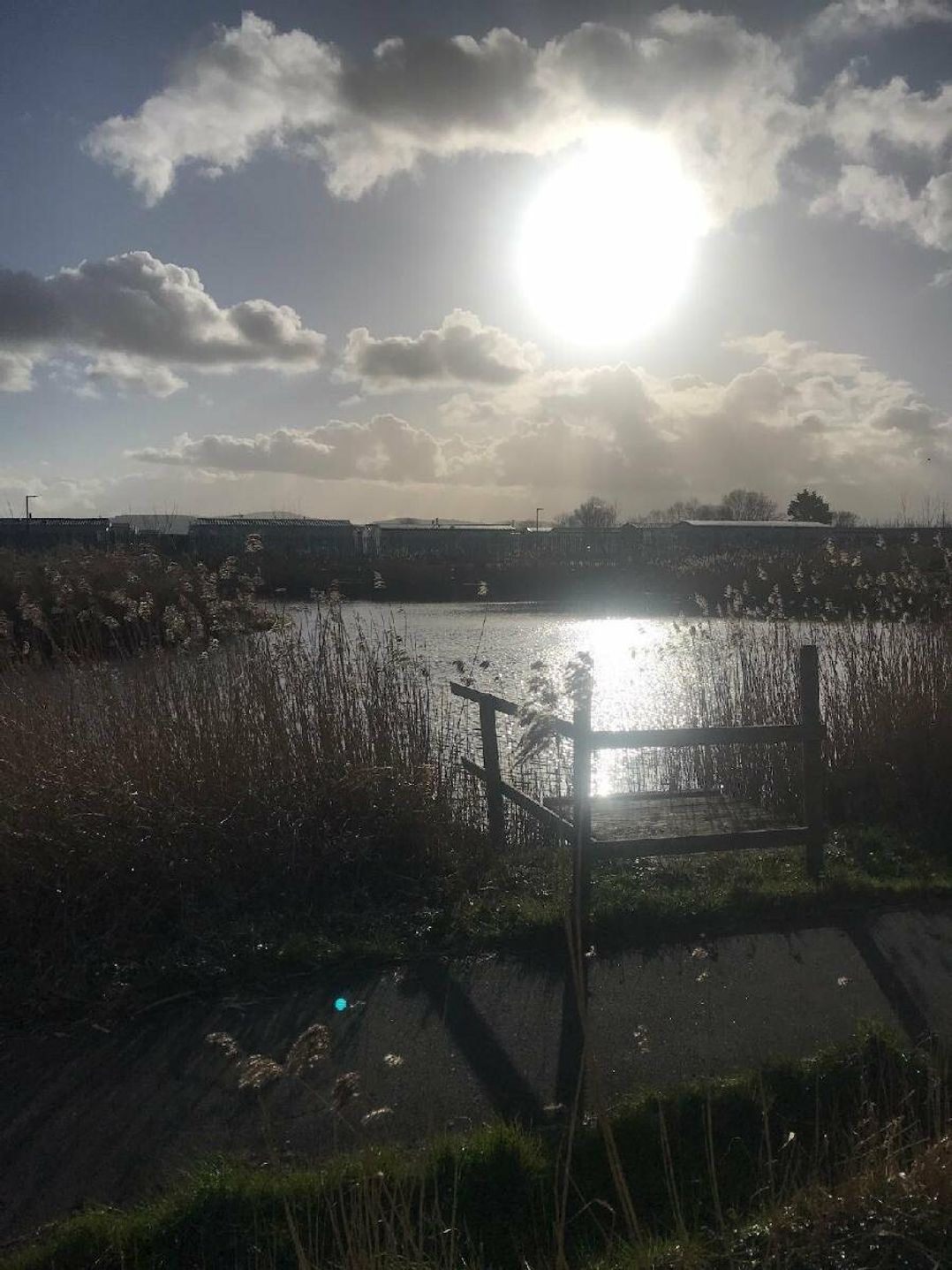 Marine Holiday Park - Holiday Accommodation 4829