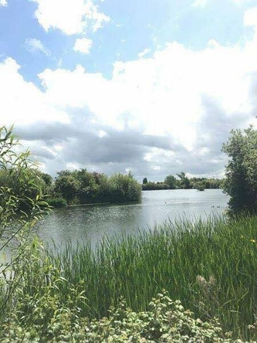 Marine Holiday Park - Holiday Accommodation 4829