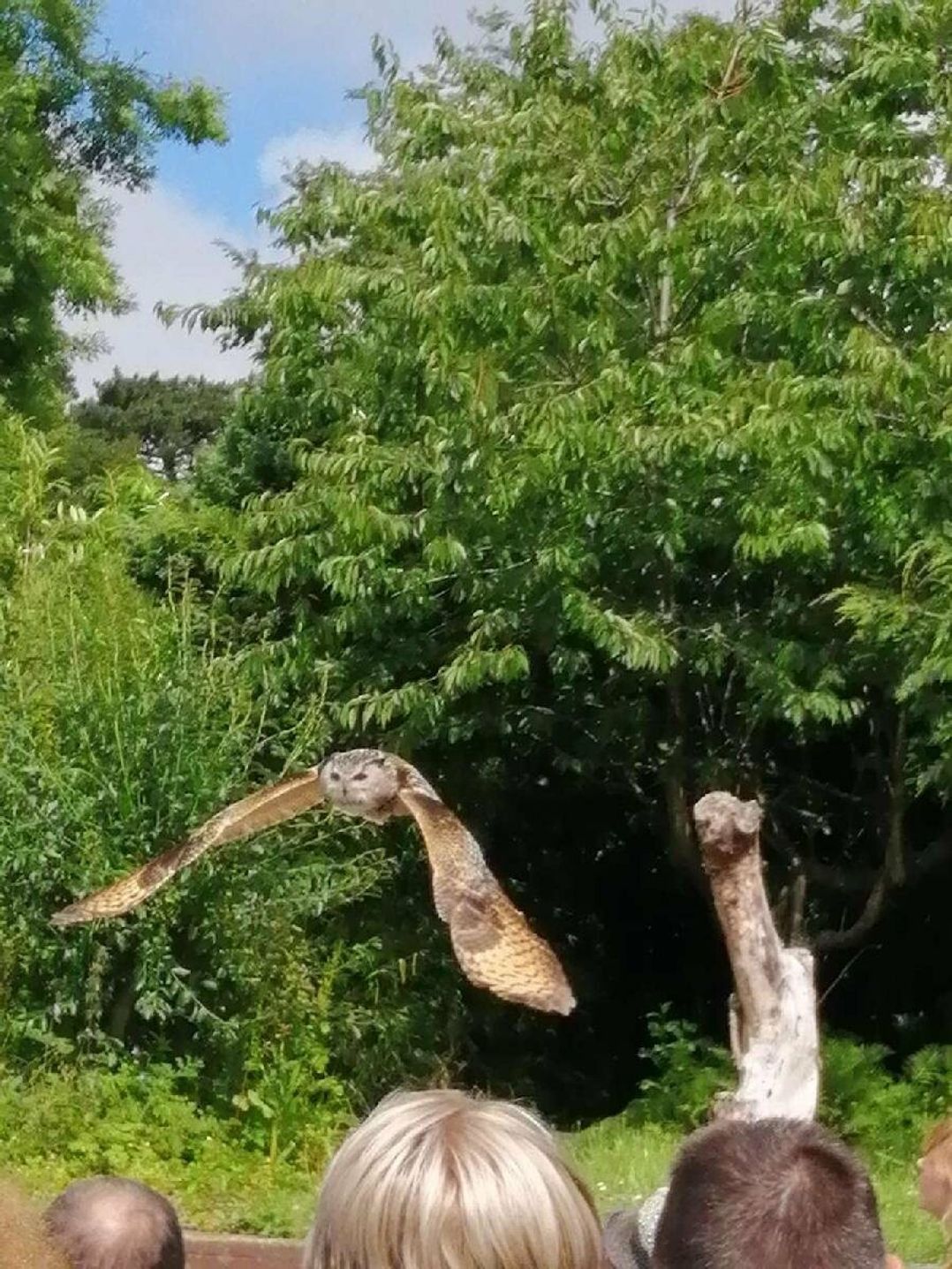 Port Haverigg Holiday Village - Holiday Accommodation 5837