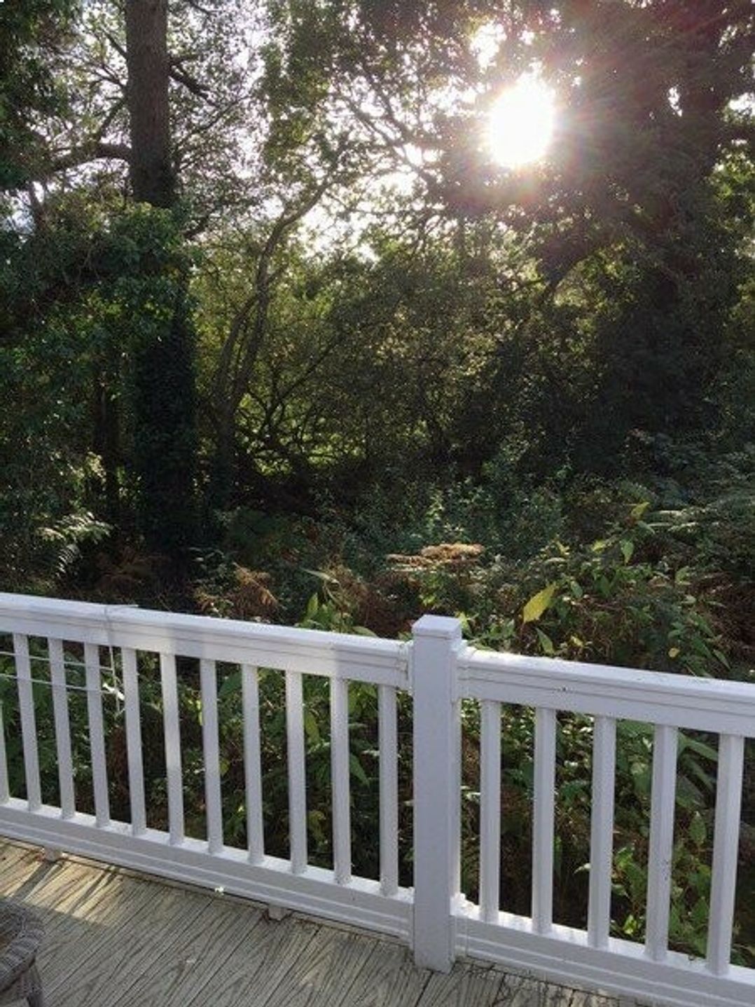 Oakdene Forest Park - Holiday Accommodation 6437