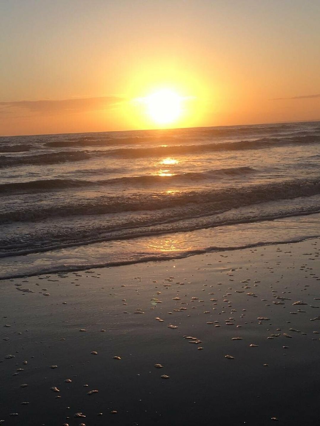 Lyons Sunnysands Holiday Park - Holiday Accommodation 8412