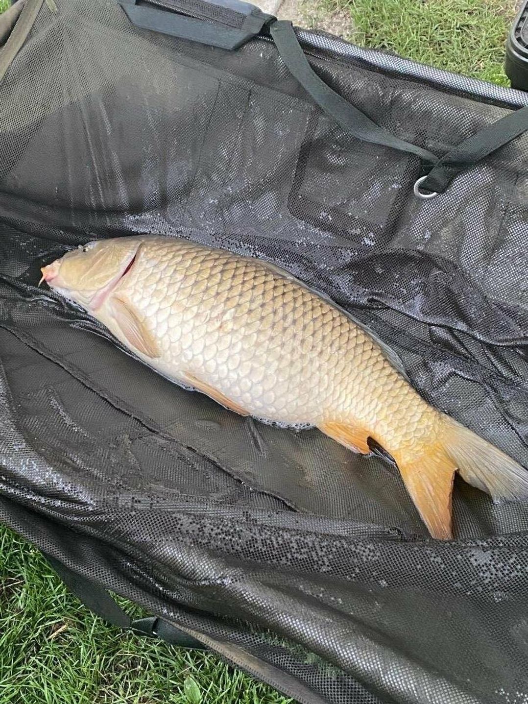 Weeley Bridge Holiday Park - Holiday Accommodation 8674