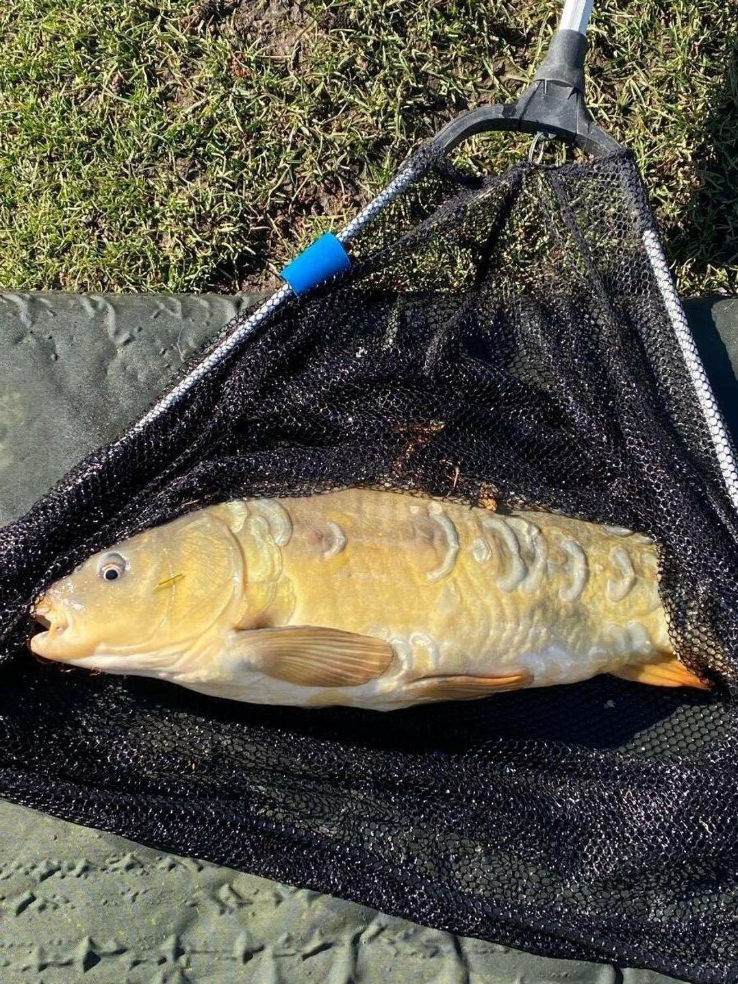 Weeley Bridge Holiday Park - Holiday Accommodation 8674