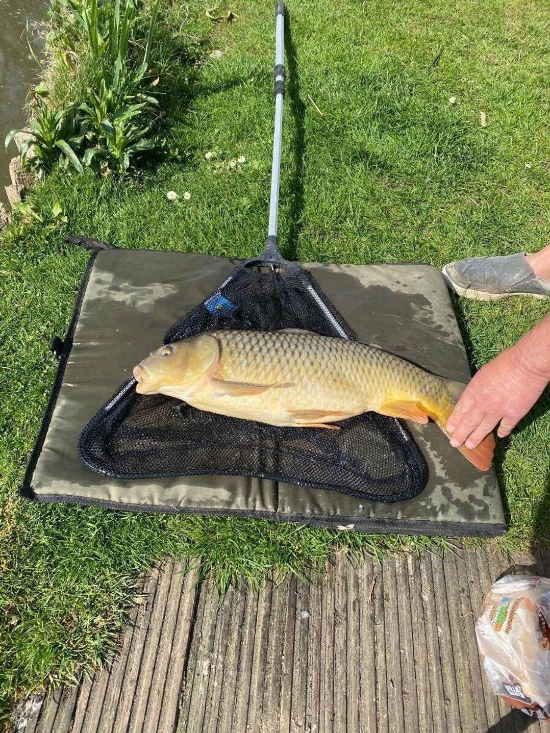 Weeley Bridge Holiday Park - Holiday Accommodation 8674