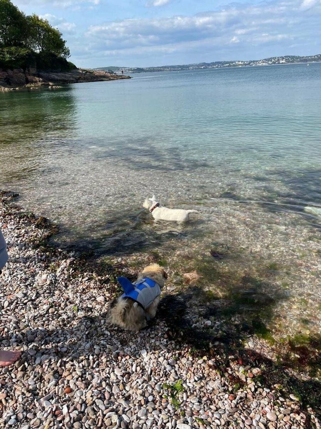 Hoburne Devon Bay - Holiday Accommodation 9602