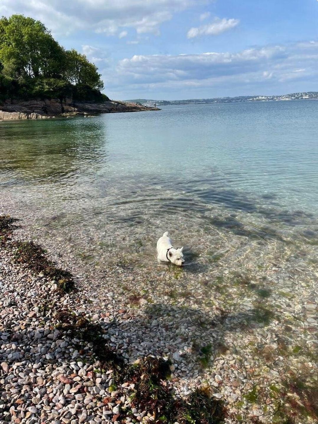 Hoburne Devon Bay - Holiday Accommodation 9602