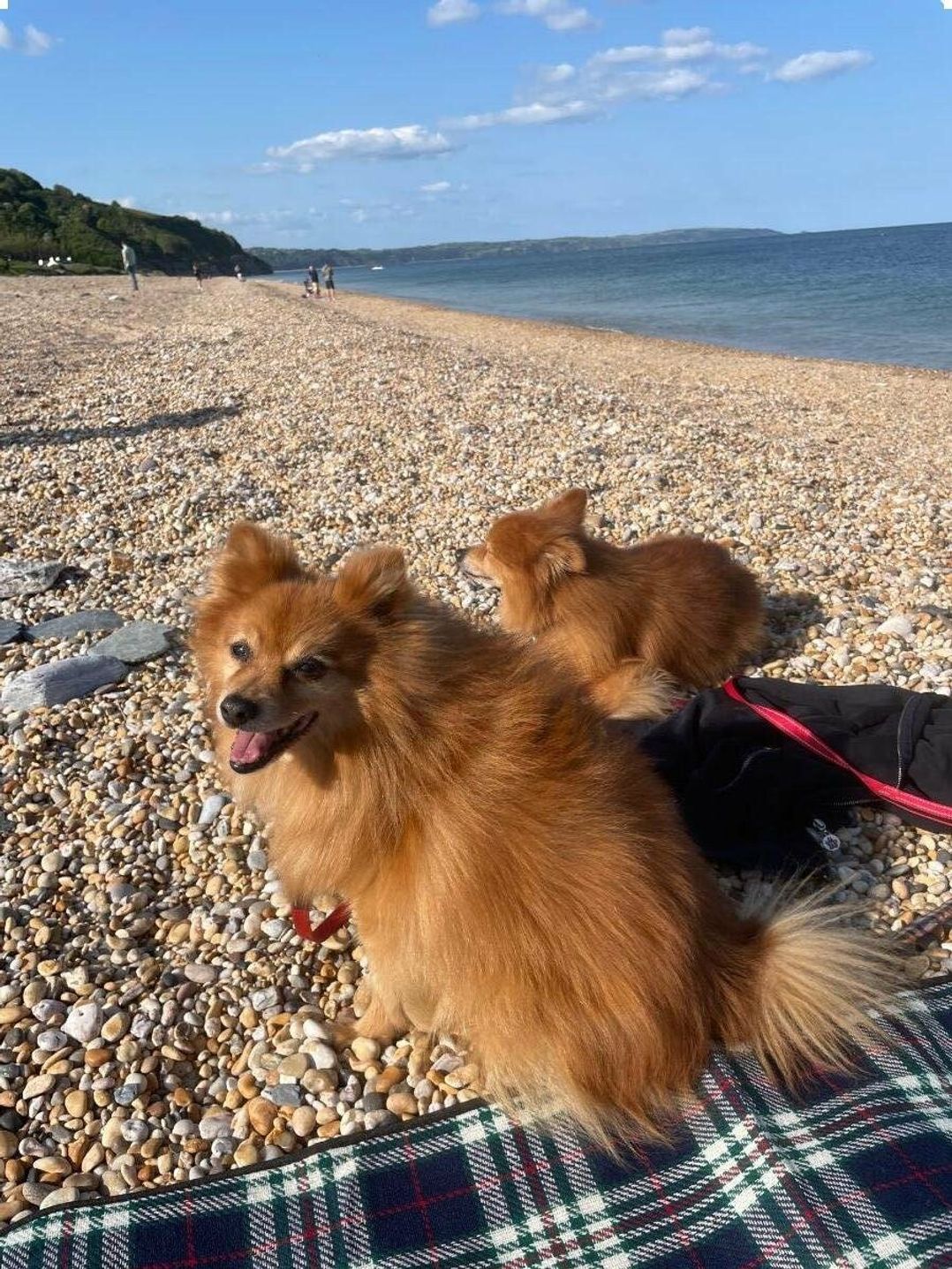 Hoburne Devon Bay - Holiday Accommodation 9602