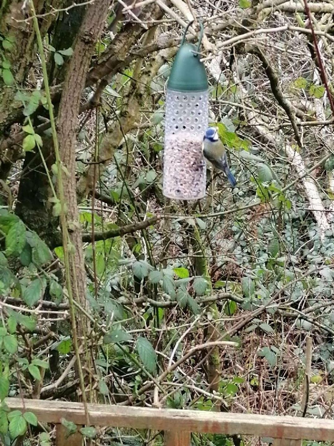 Port Haverigg Holiday Village - Holiday Accommodation 9690