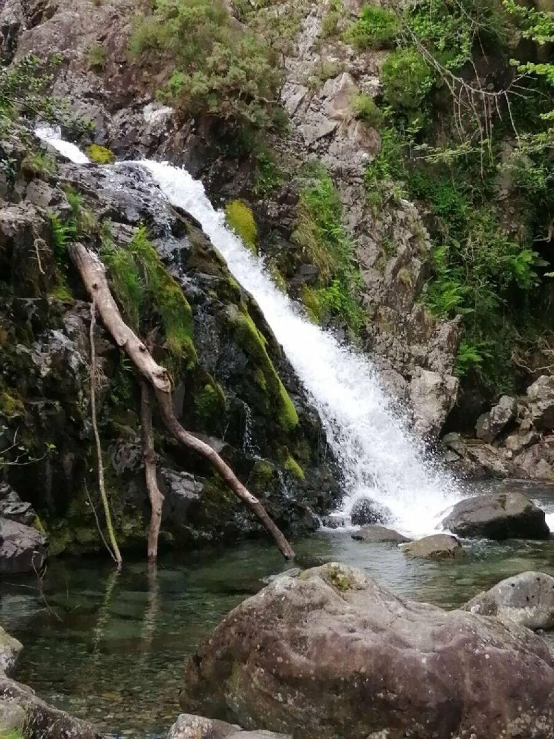 Port Haverigg Holiday Village - Holiday Accommodation 9690