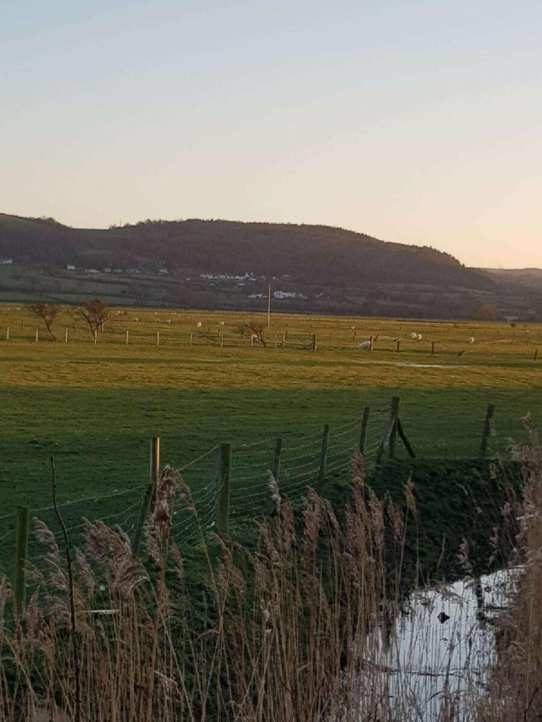 Ty Mawr Holiday Park - Holiday Accommodation 9766