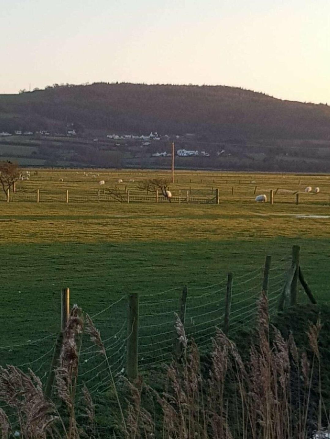 Ty Mawr Holiday Park - Holiday Accommodation 9766