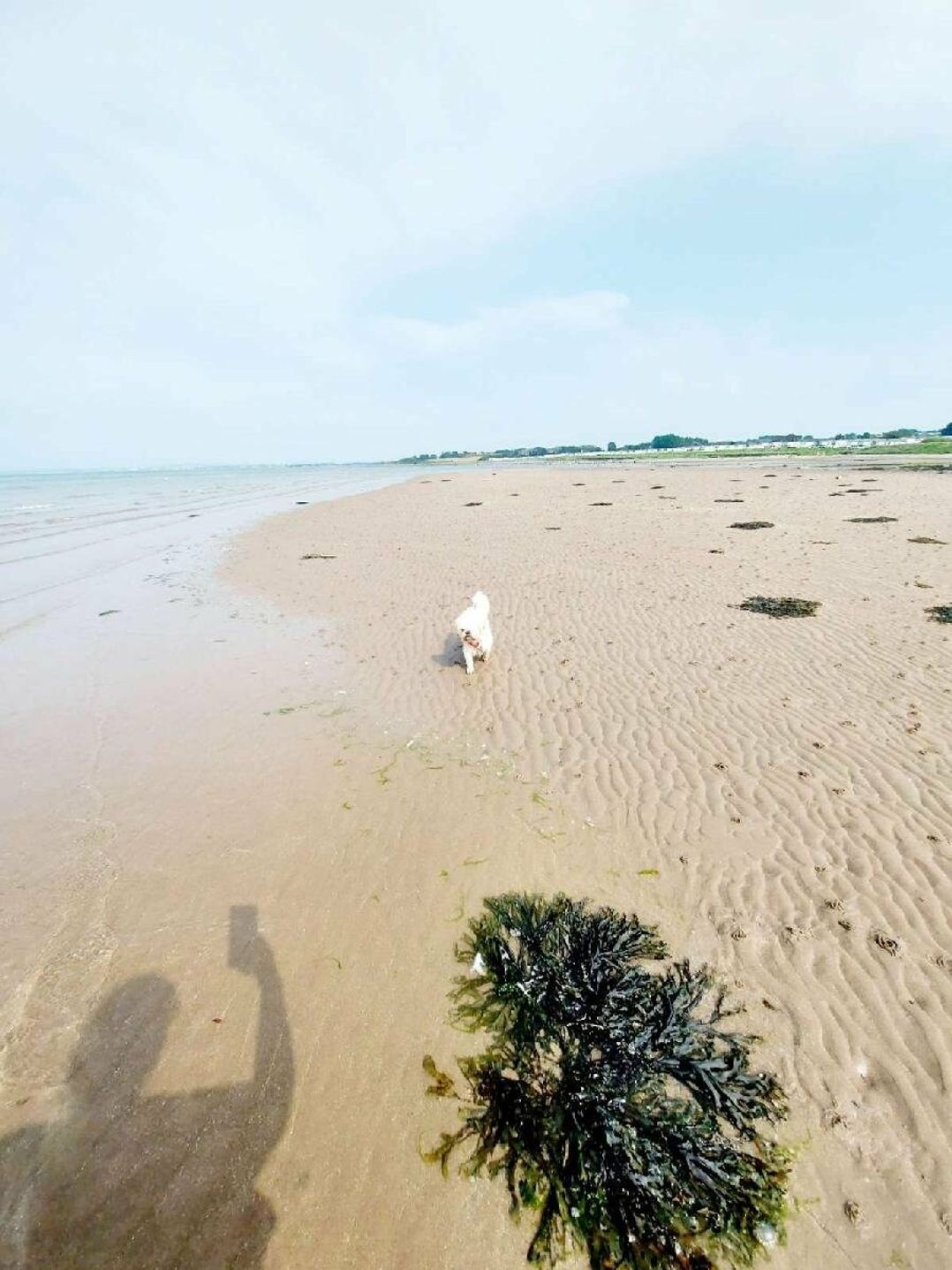 Craig Tara Holiday Park - Holiday Accommodation 9779