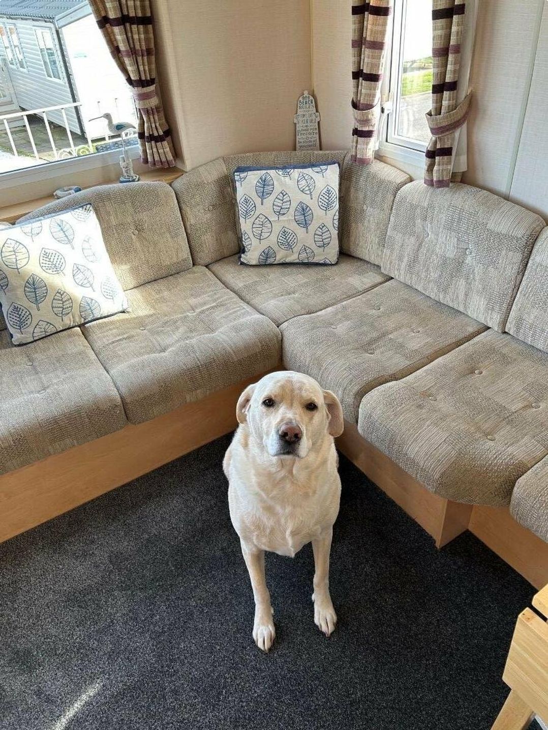 Thornwick Bay Holiday Village - Holiday Accommodation 9781