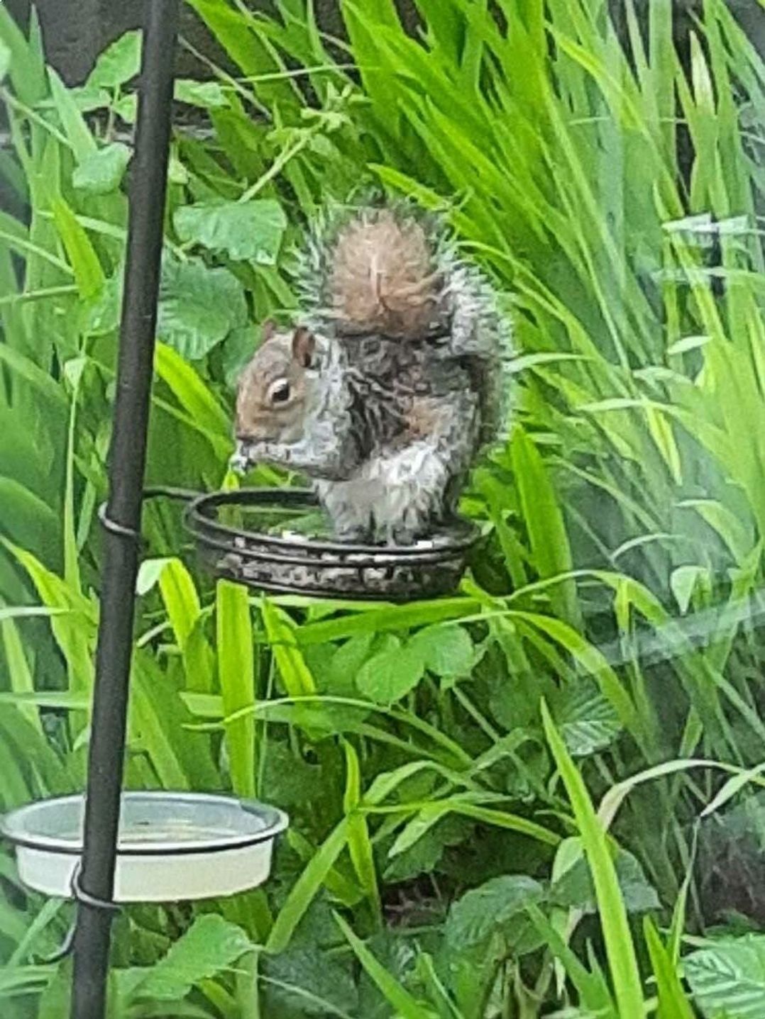 Aberdunant Hall Holiday Park - Holiday Accommodation 21897