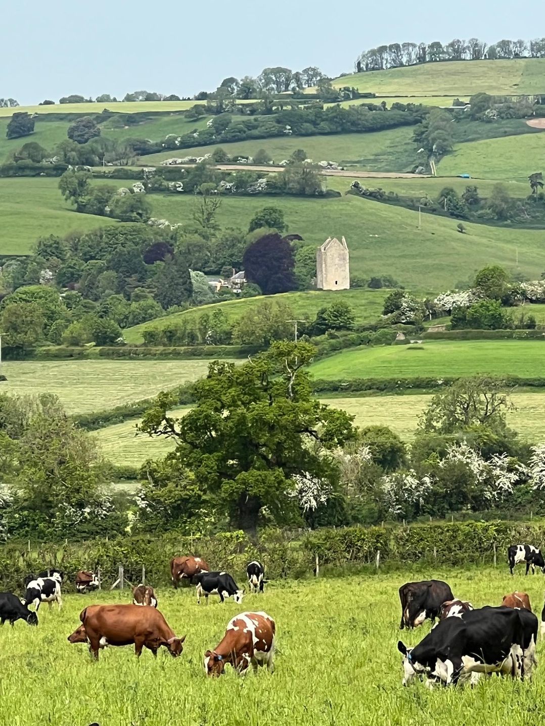 2 Guests Studio - Free Parking - Stunning Views