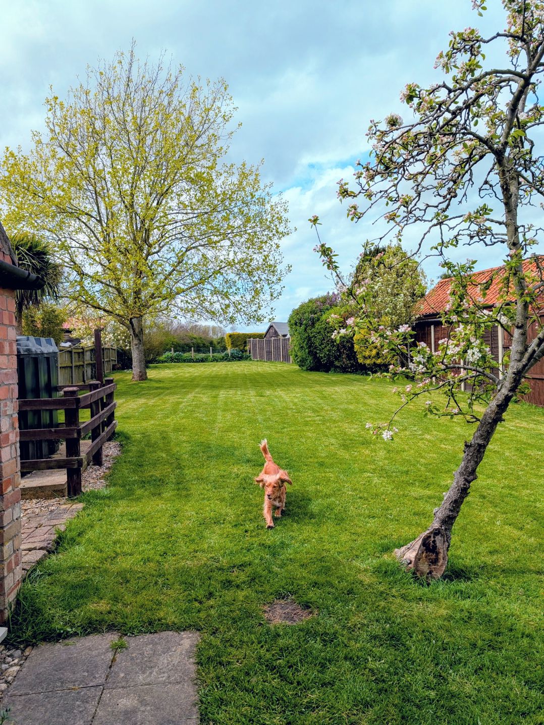 Beaconsfield Cottage