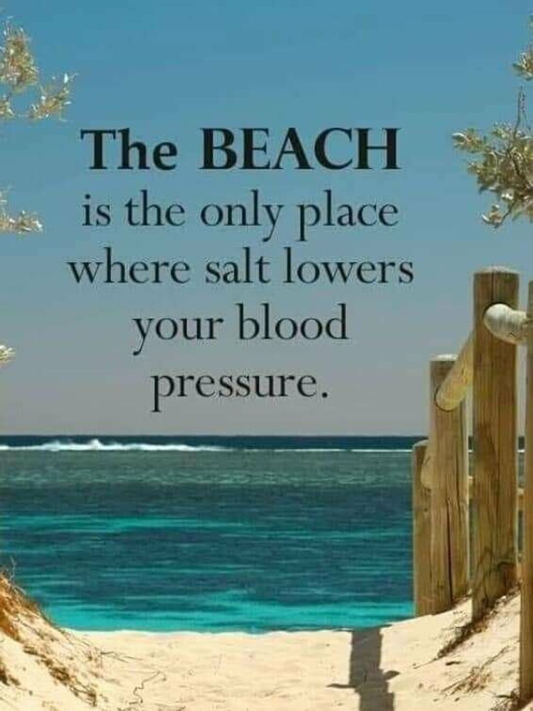 Hafan y Mor Haven - Holiday Accommodation 11370