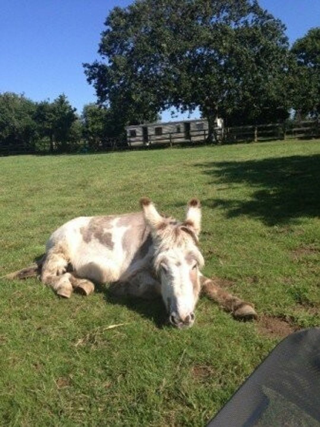 Pwllheli (private land) - Holiday Accommodation 3955