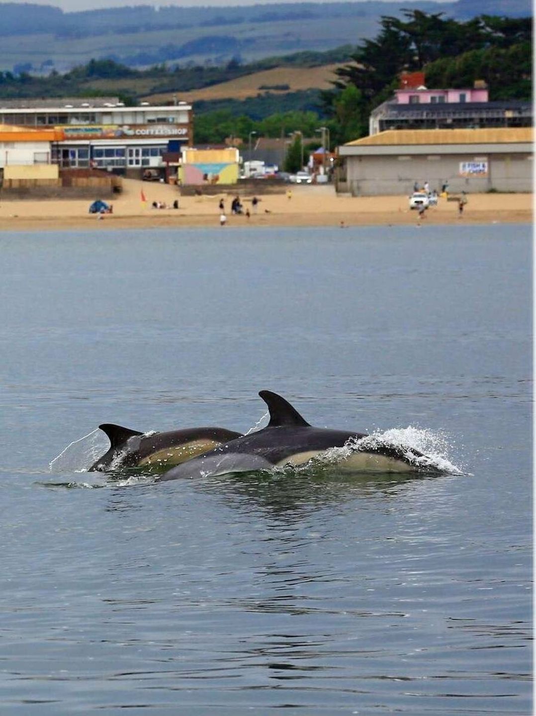 Trecco Bay - Holiday Accommodation 15729