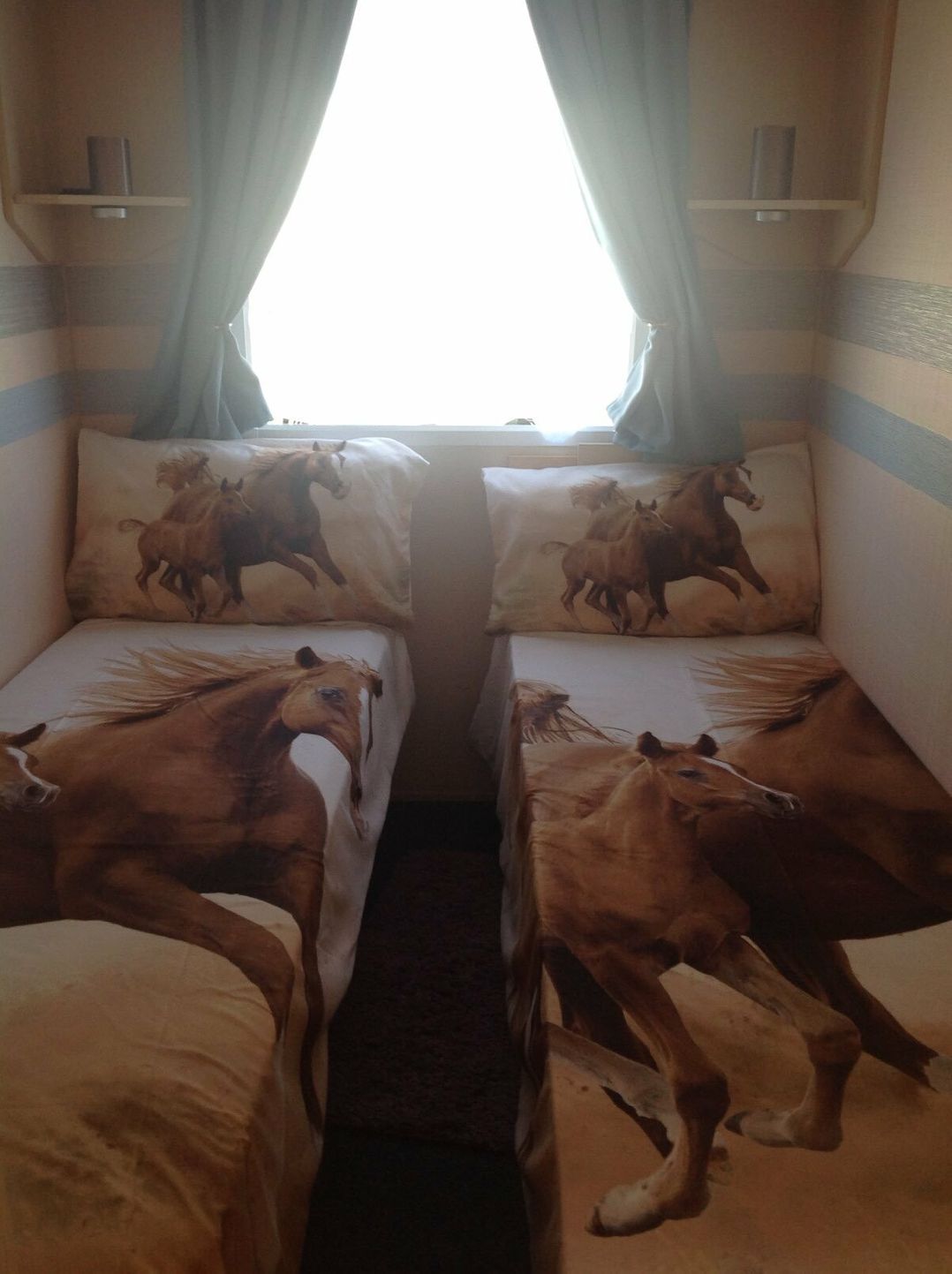 Lido Beach Holiday Park - Holiday Accommodation 9450