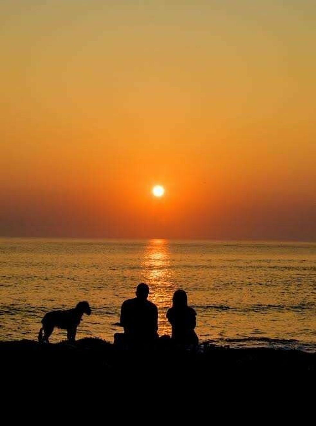 Harlyn Sands - Holiday Accommodation 14160