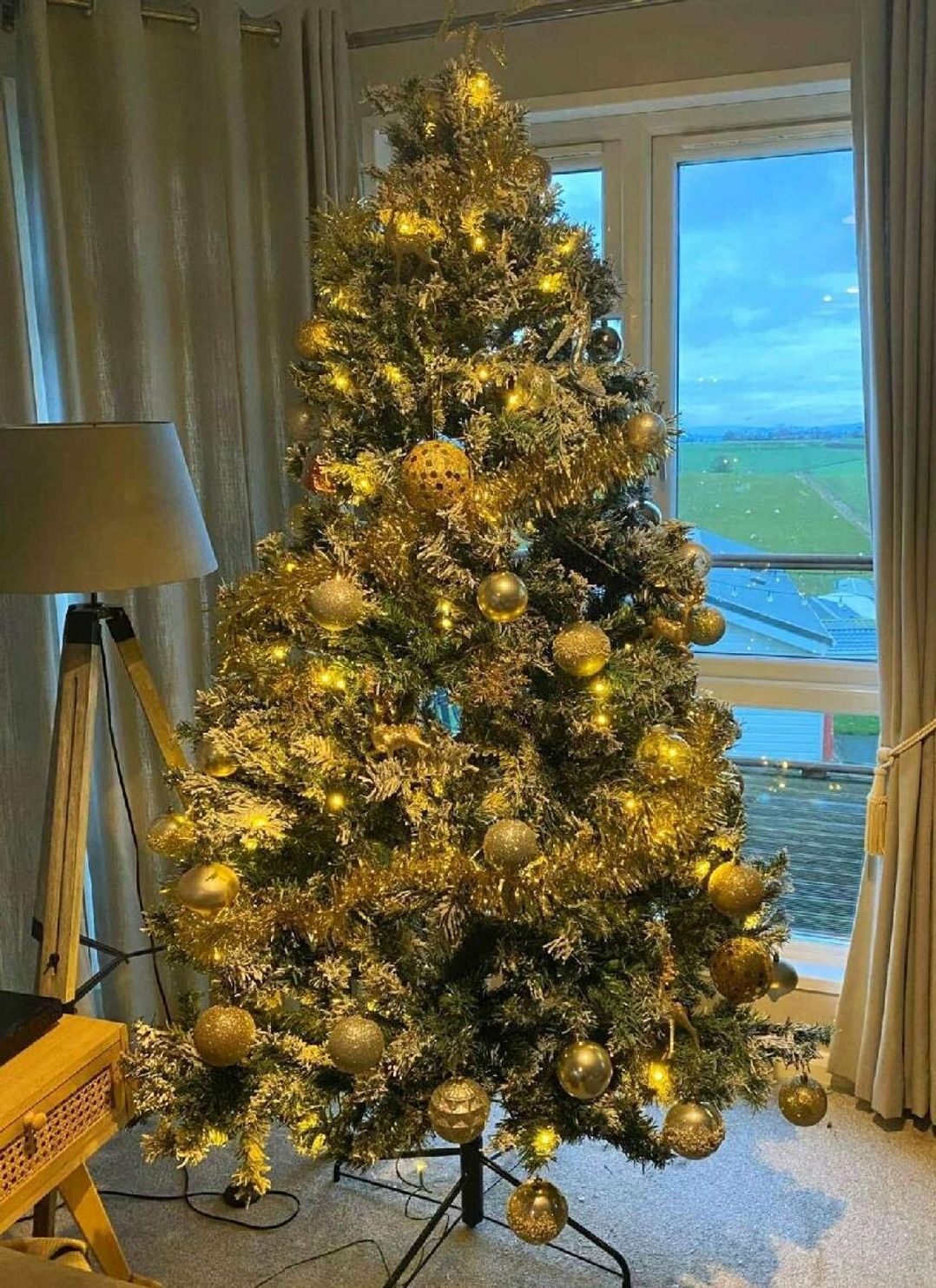 Todber Valley Holiday Park - Holiday Accommodation 13882