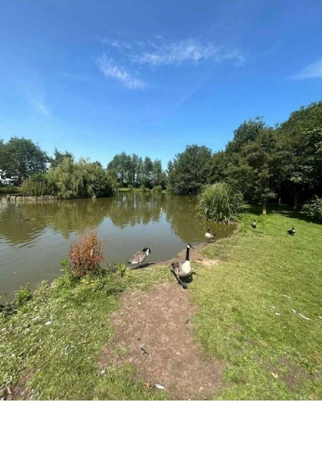 Skipsea Sands Holiday Park - Holiday Accommodation 22031