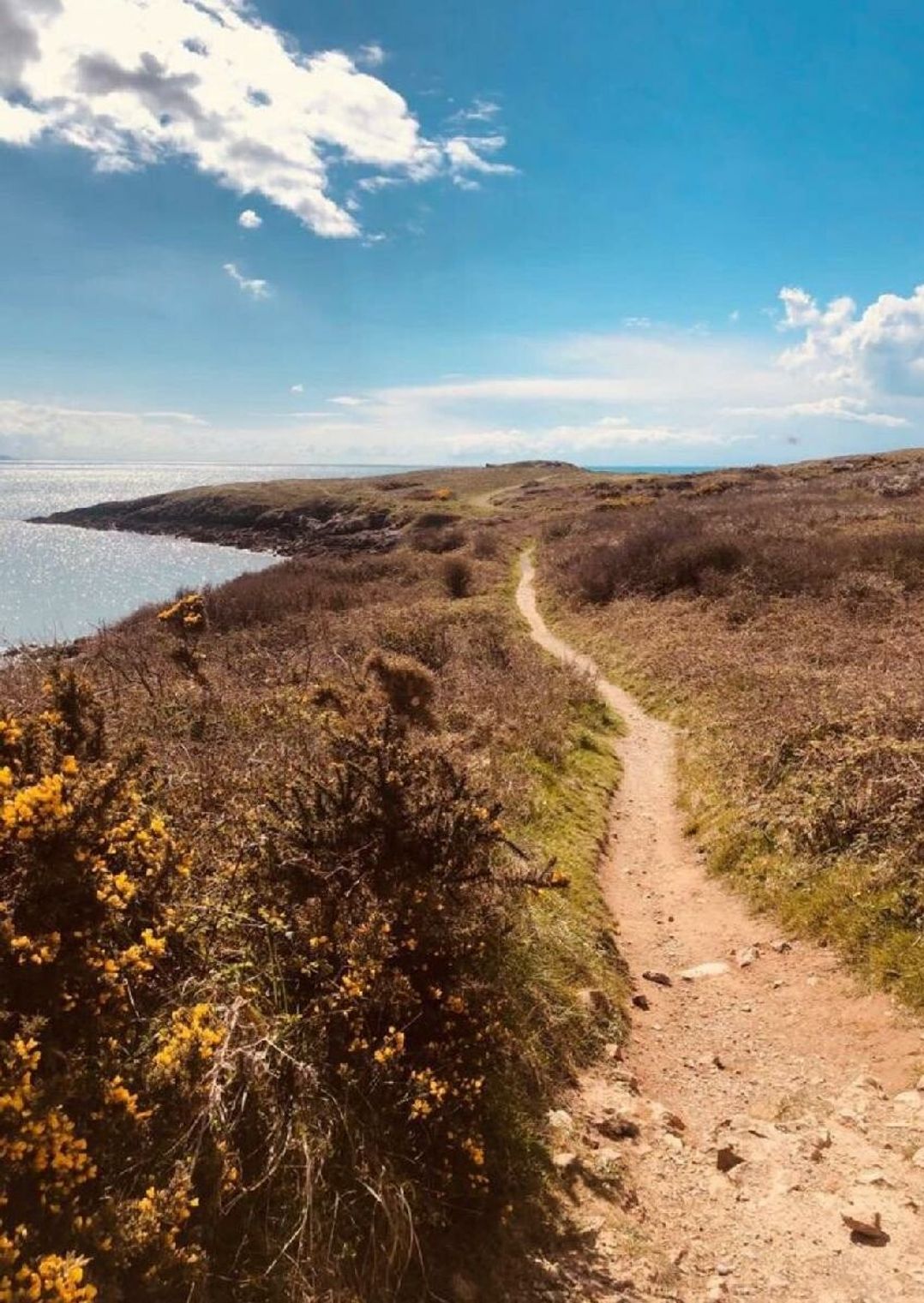 Hafan y Mor Haven - Holiday Accommodation 22224