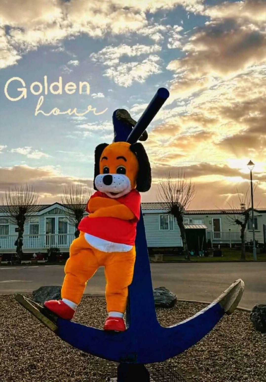 Golden Palm Resort - Holiday Accommodation 22164