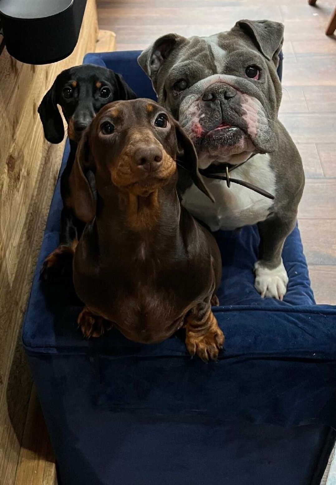 Primrose Valley Holiday Park - Holiday Accommodation 6785