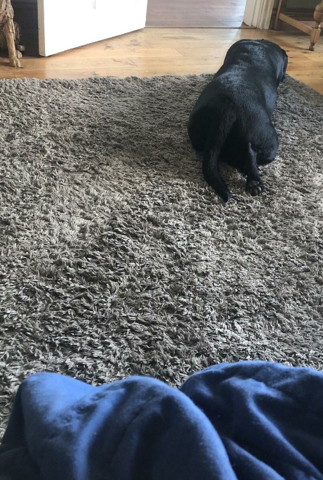 Merryfield and Sandfield Holiday Park - Holiday Accommodation 21964