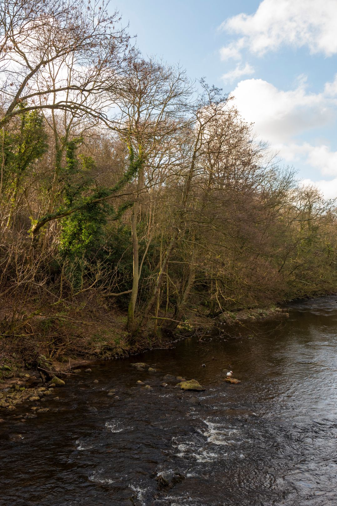 Esk View Cottage In Grosmont, North Yorkshire | Cottages & Lodges