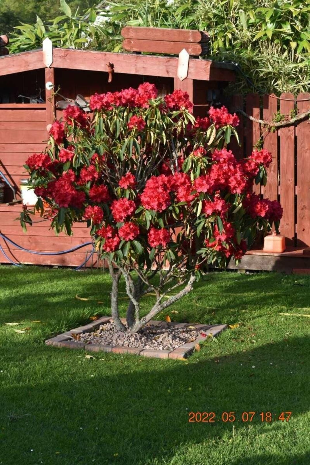 Munlochy (private land) - Holiday Accommodation 5037