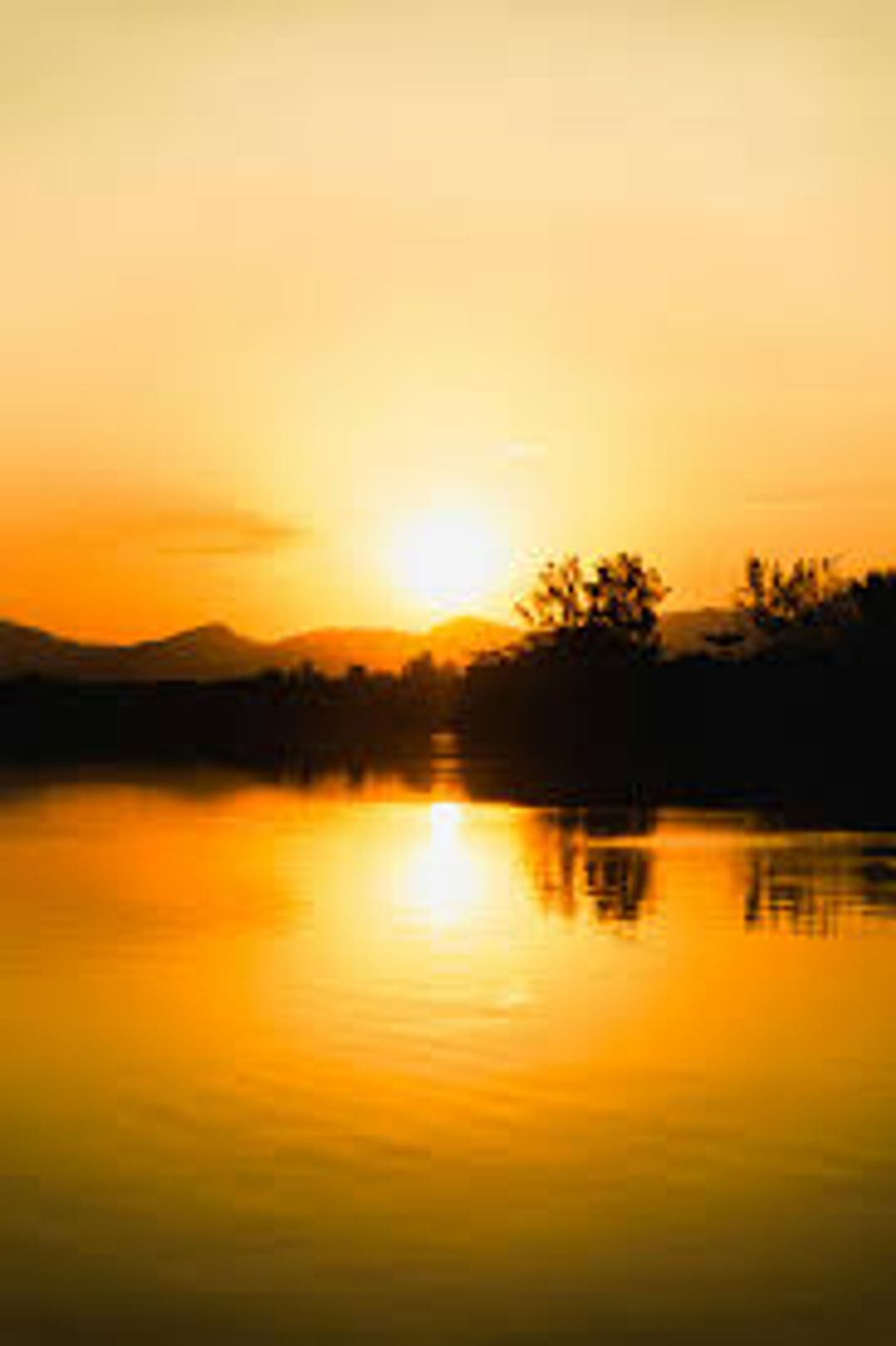 test live test