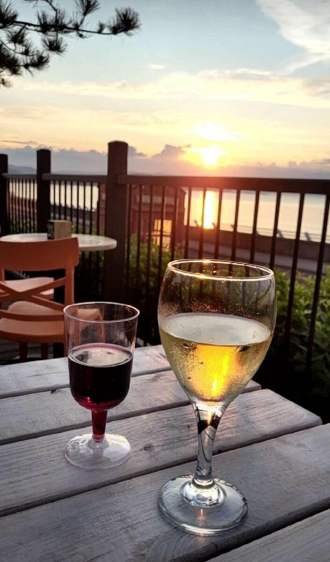 Hoburne Blue Anchor - Holiday Accommodation 14435