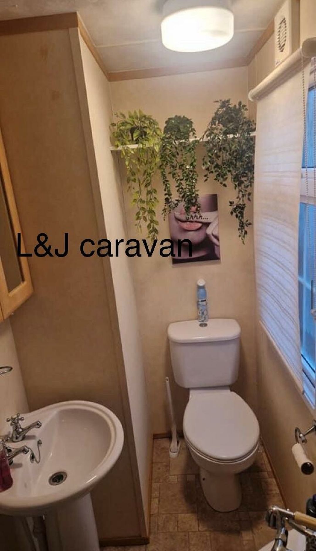 Parc Farm Holiday Park - Holiday Accommodation 20714