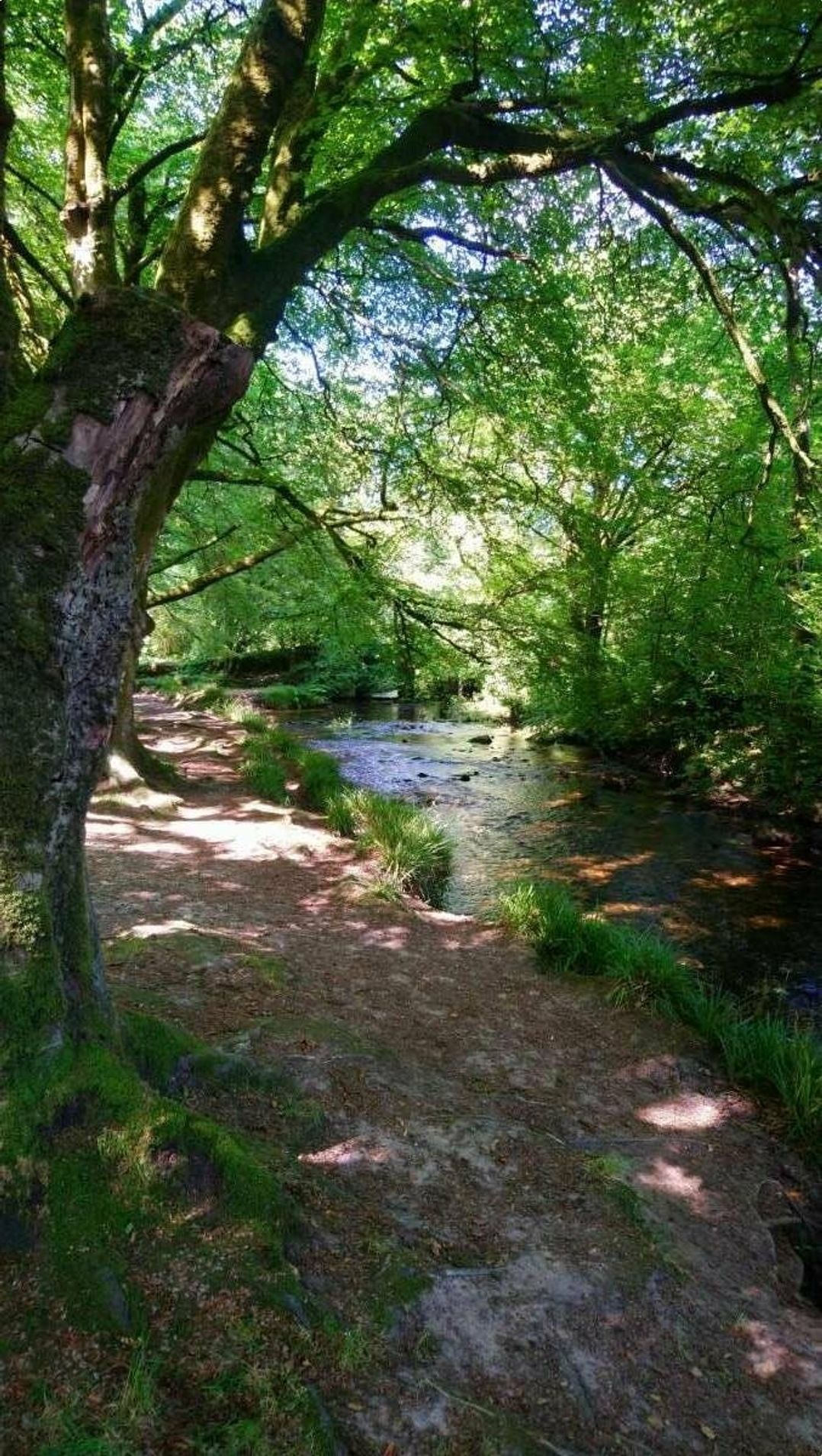 St Minver Holiday Park - Holiday Accommodation 15671