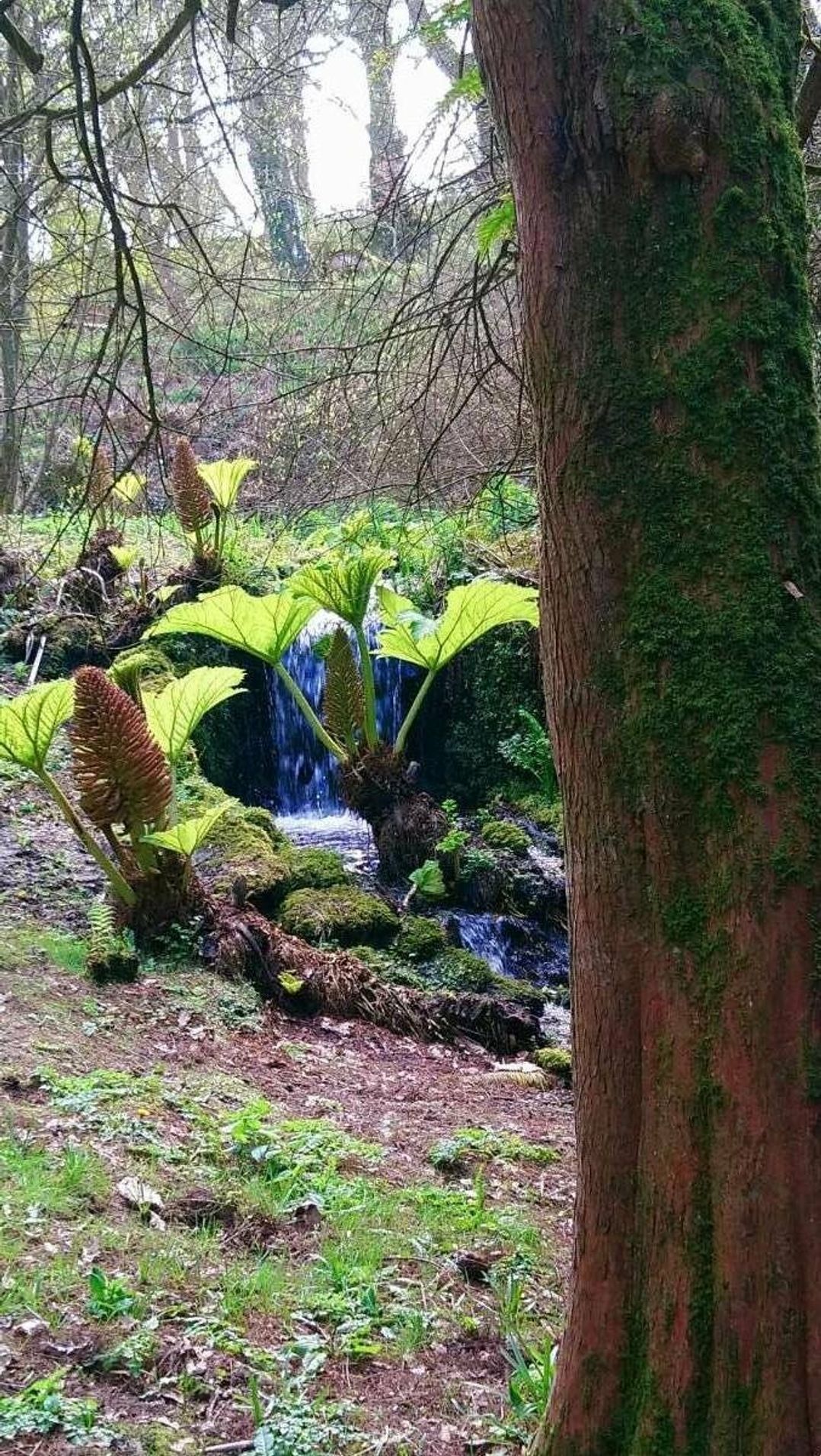 St Minver Holiday Park - Holiday Accommodation 15671