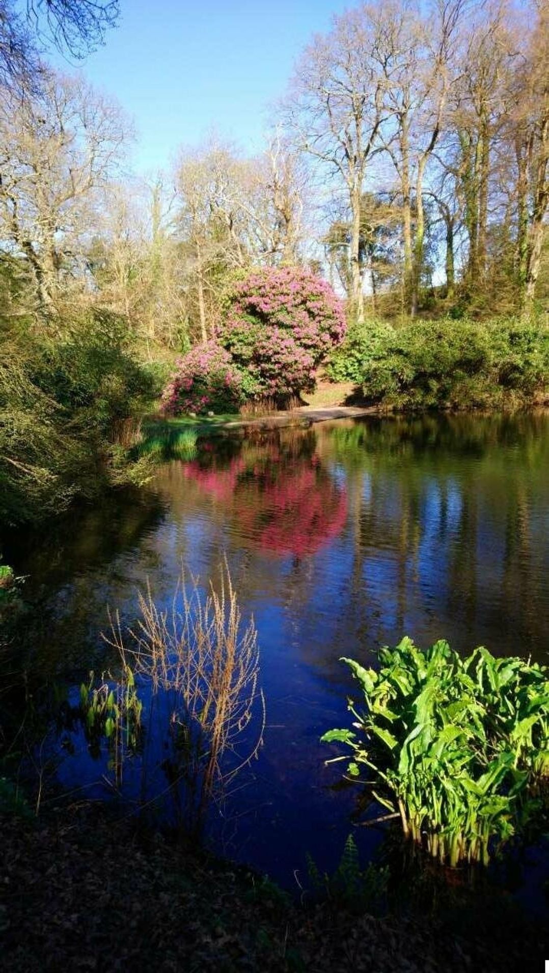 St Minver Holiday Park - Holiday Accommodation 15671