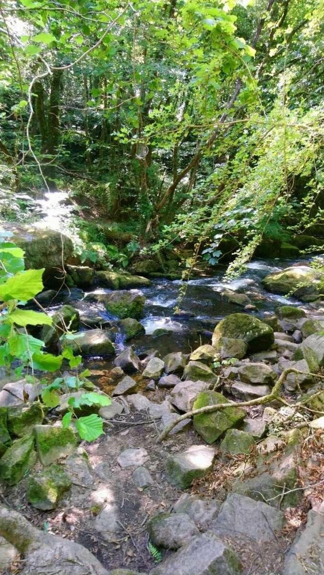 St Minver Holiday Park - Holiday Accommodation 15671