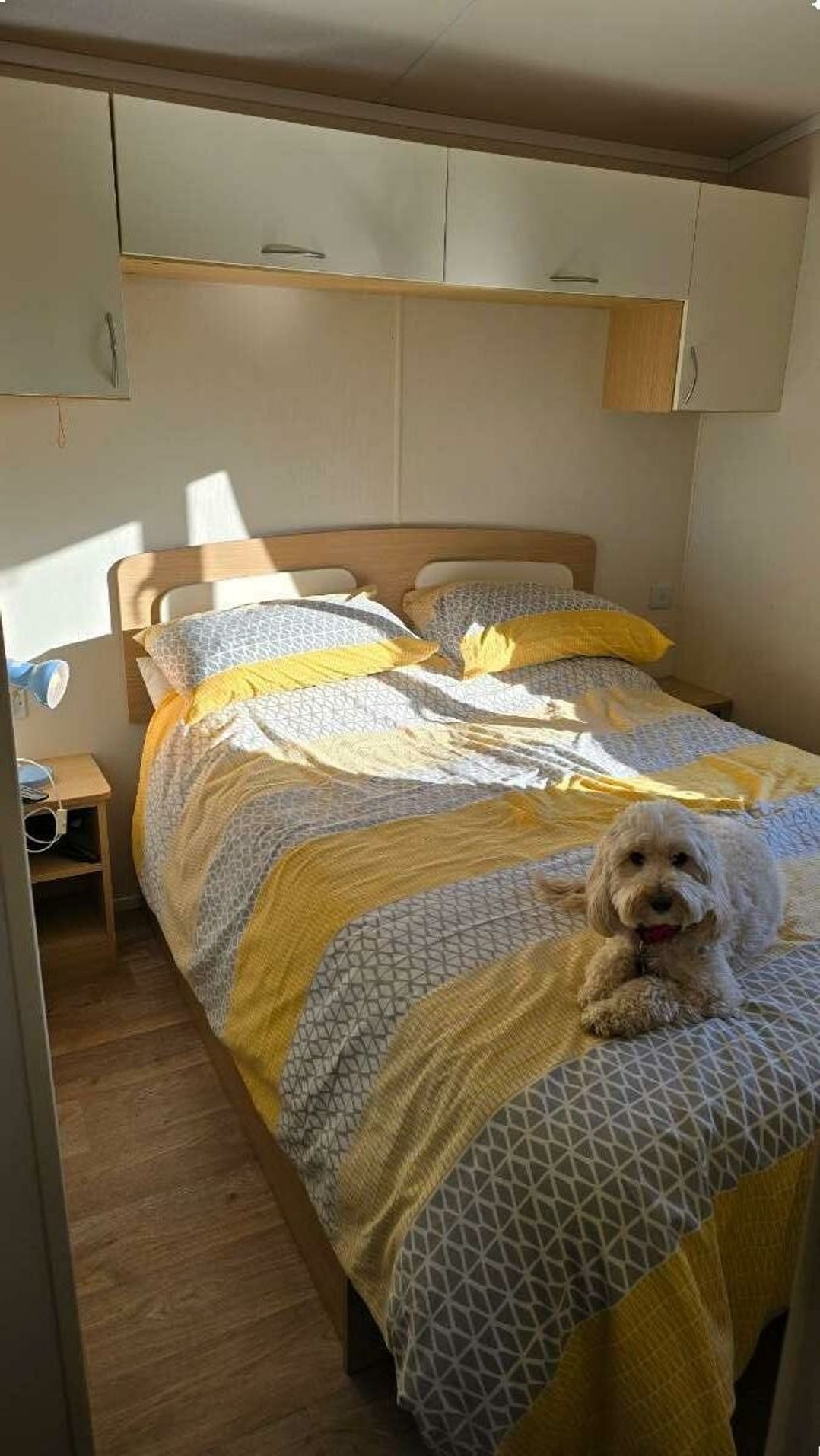 Southview Holiday Park - Holiday Accommodation 21565