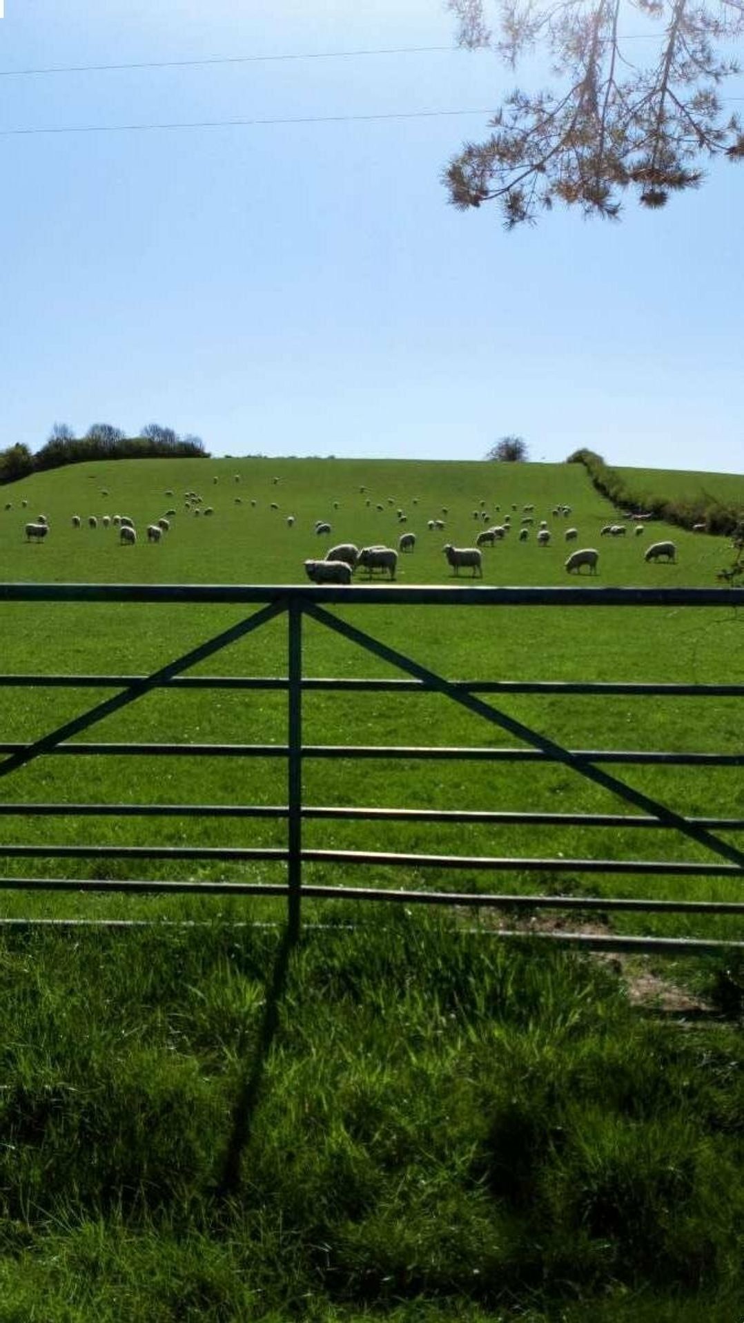 Newhouse Farm (private land) - Holiday Accommodation 17371