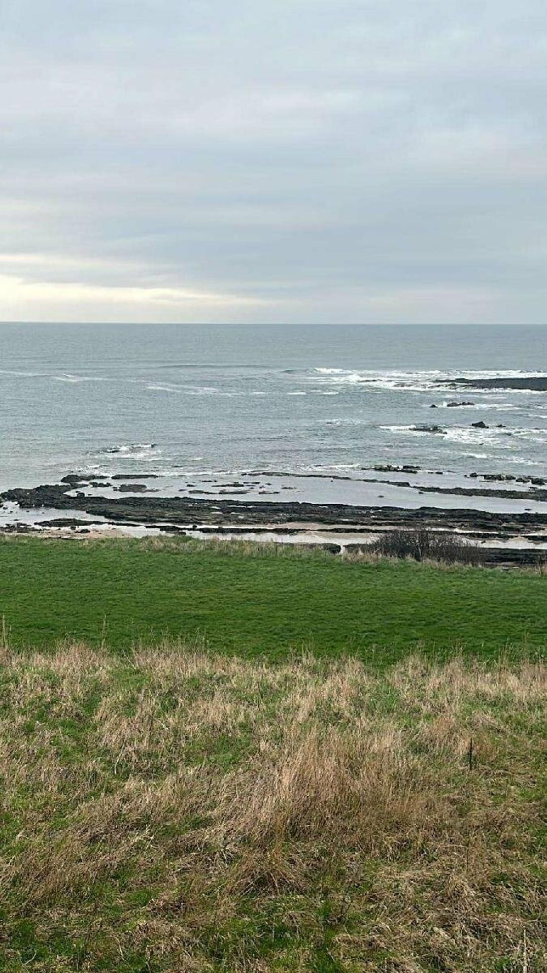 Berwick Holiday Park - Holiday Accommodation 17432