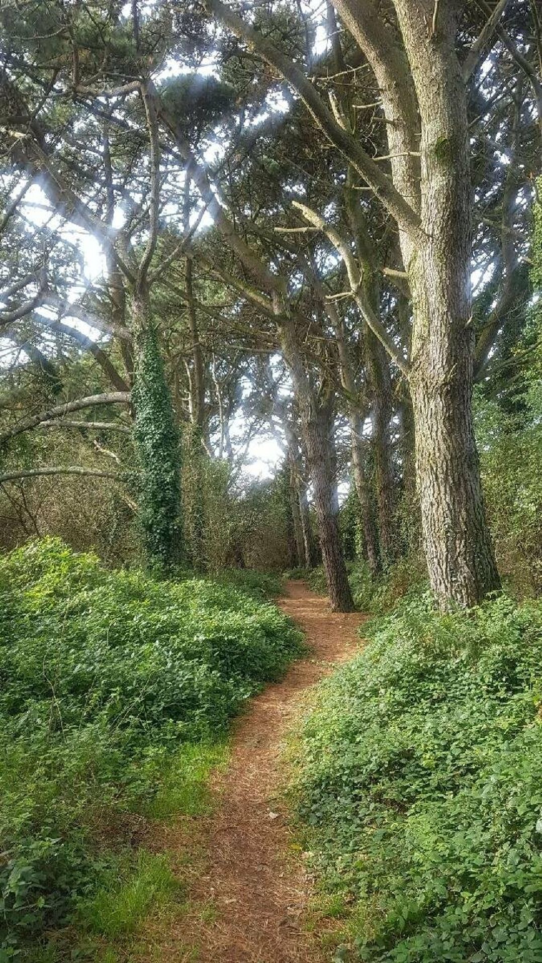 Par Sands Holiday Park - Holiday Accommodation 18804